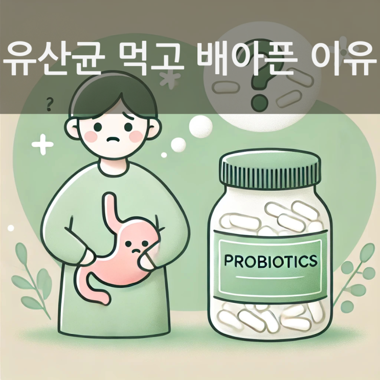  유산균을 먹고도 속이 더 불편했던 이유… 드디어 알게 됐어요(확실한 해결책이 있어요!)