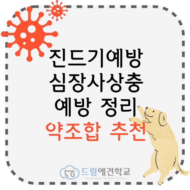  봄철 진드기와 심장사상충 예방 한 방 정리! 약 조합 추천
