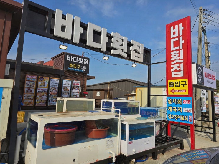  바다횟집 태안, 신선한 태안 실치회와 갑오징어물회!