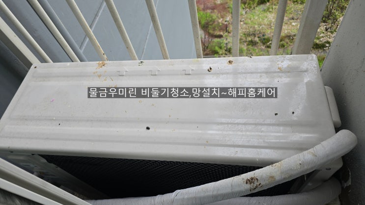  양산우미린104동 비둘기퇴치[청소]비둘기청소후 비둘기악취냄새까지 발멸시킨~해피홈케어
