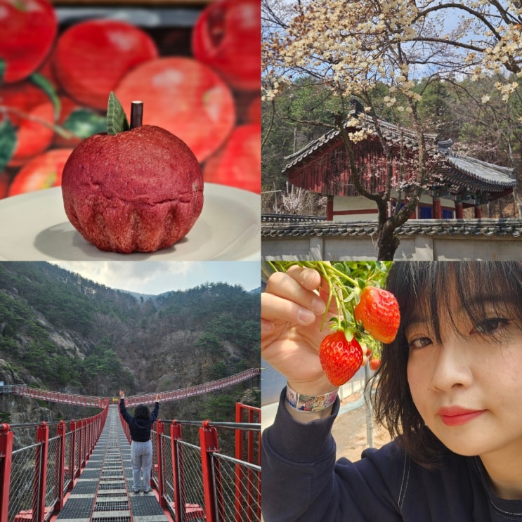  경남 거창 당일치기 국내 봄 여행 패키지 여행가는달 여행으로컬