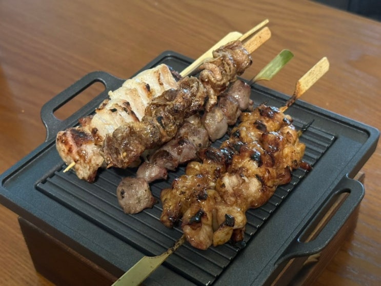  반포 한강공원 맛집 야키토리 탄주 고속터미널 이자카야