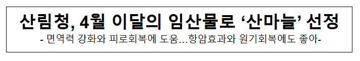 산림청, 4월 이달의 임산물로 '산마늘' 선정 산림청, 4월 이달의 임산물로 '산마늘' 선정