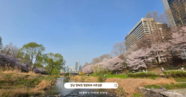  강남 양재천 벚꽃 축제 아트살롱 서울 봄 꽃구경 데이트 가볼만한곳
