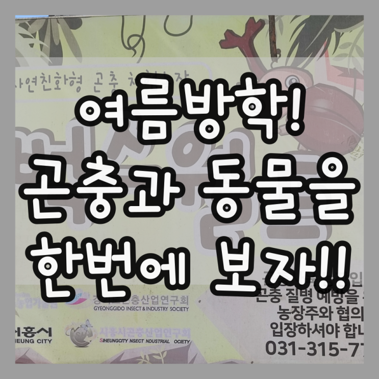  인천 근교 초등학생 가볼만한 곳 벅스월드 곤충체험