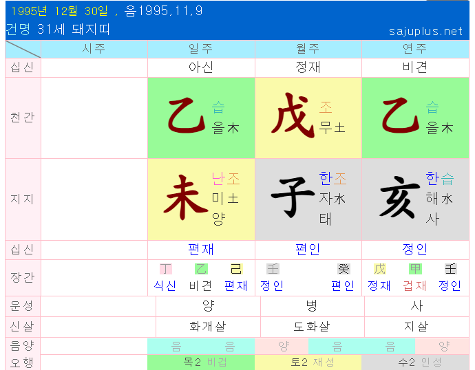 SEVENTEEN Joshua's Saju