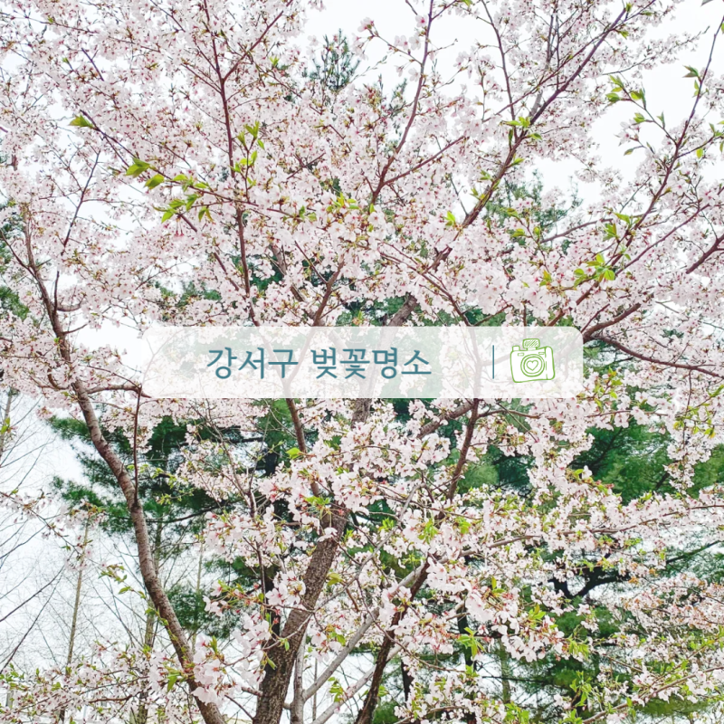 사진 3