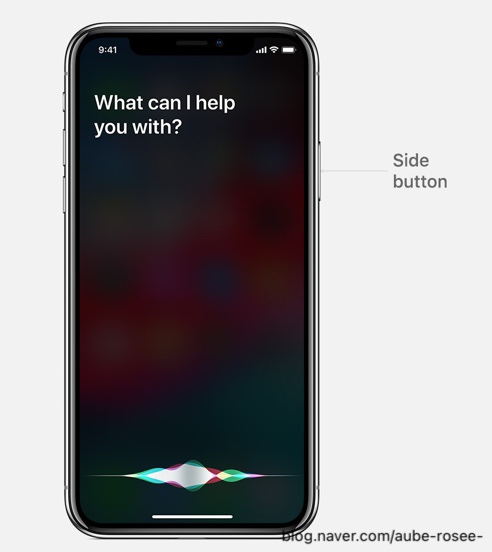  Siri 제안 기능, 잘만 쓰면 진짜 꿀이에요