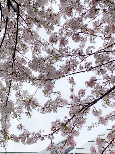사진 4