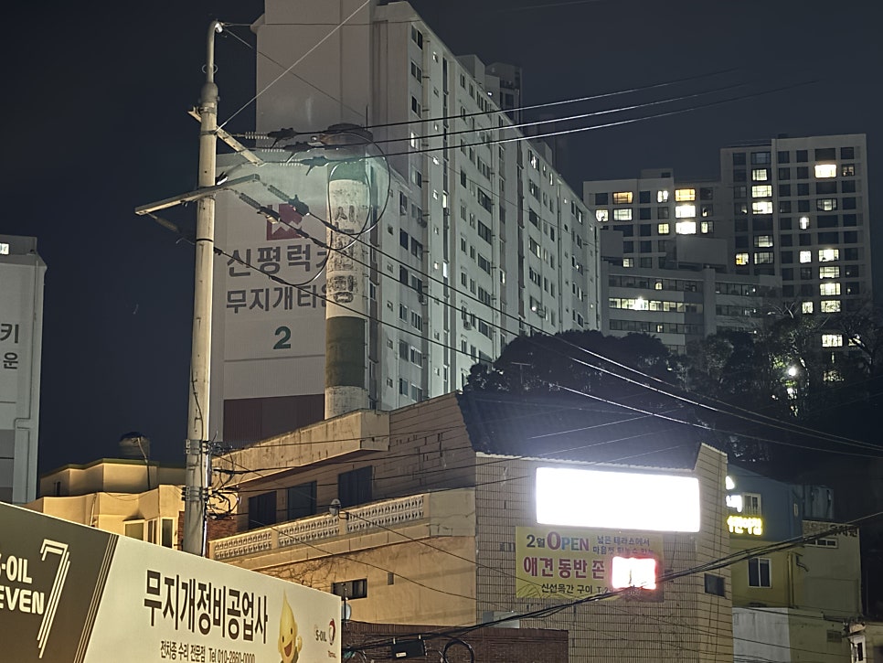 신선목간구이 사진 4