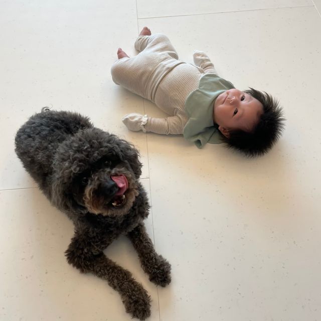 <b>심형탁</b>, 사랑스러운 아들 '하루' <b>근황</b> 공개…"매트 공사 완료... 