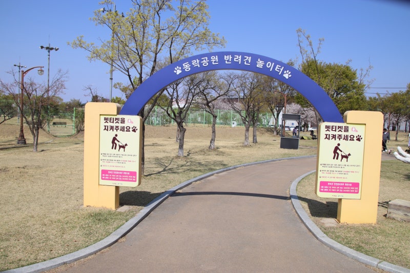 사진 5