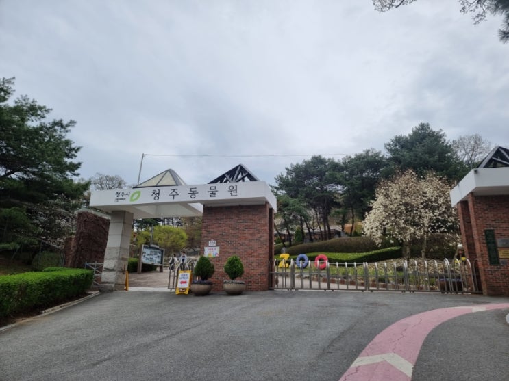  청주여행 가볼만한곳 가족끼리 "청주랜드"/"청주동물원"/"어린이회관
