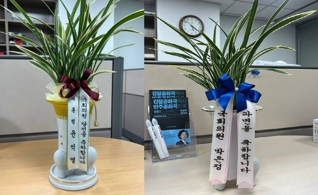  윤석열에 '파면 난' 보낸 박은정… "오늘을 기다리며 잘 키웠다"