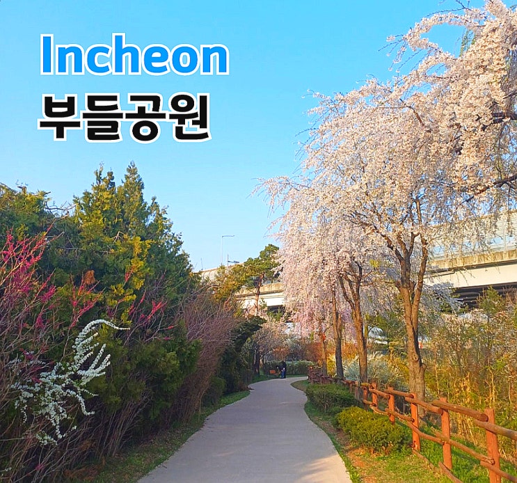 인천삼산동 부들공원 벚꽃산책로, 자연습지의 조화 멸종위기종 서식처