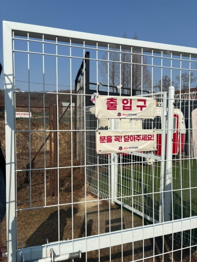 사진 6