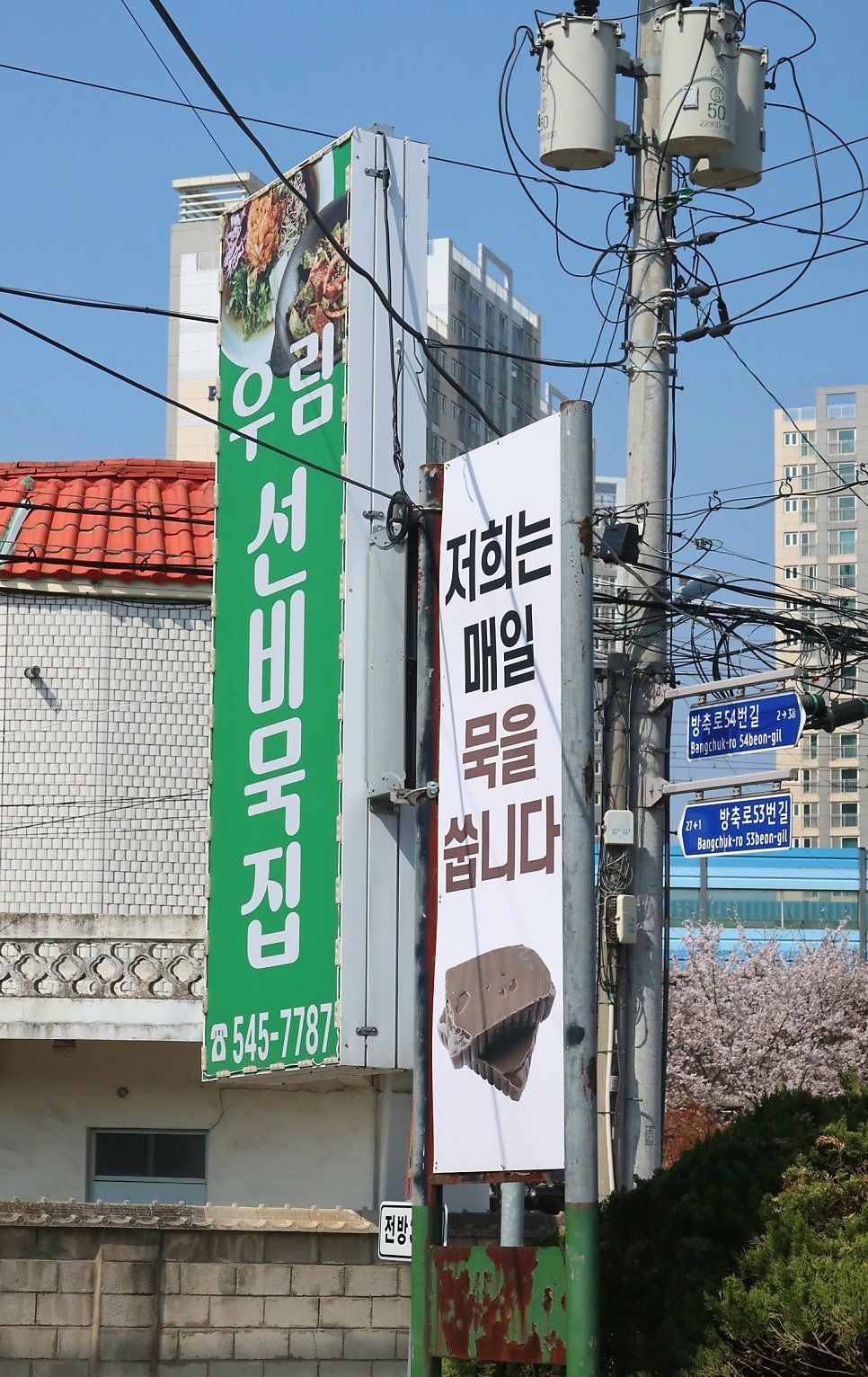 우림선비묵집 사진 1