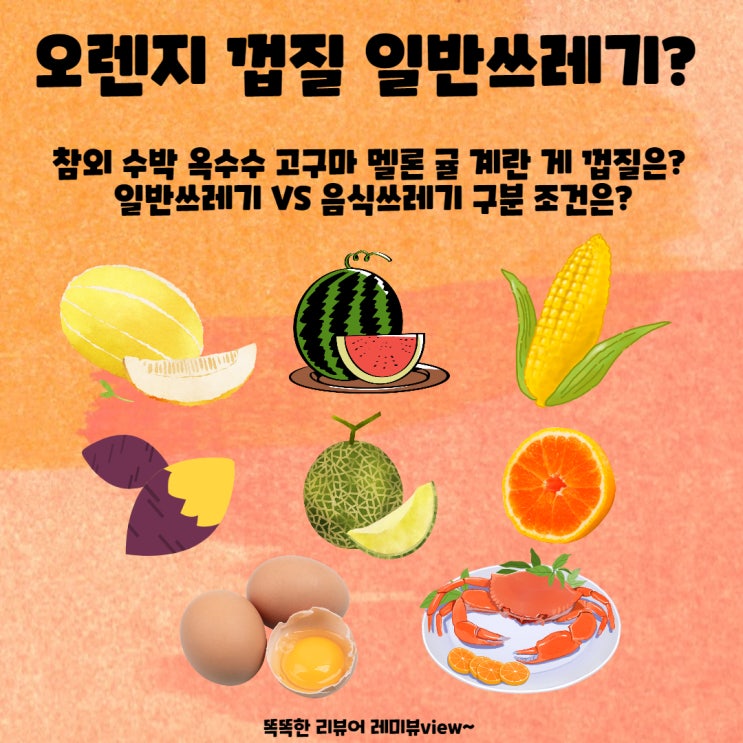 일반 쓰레기 VS 음식물 쓰레기 종류 구분 기준은? 일반 쓰레기 VS 음식물 쓰레기 종류 구분 기준은?