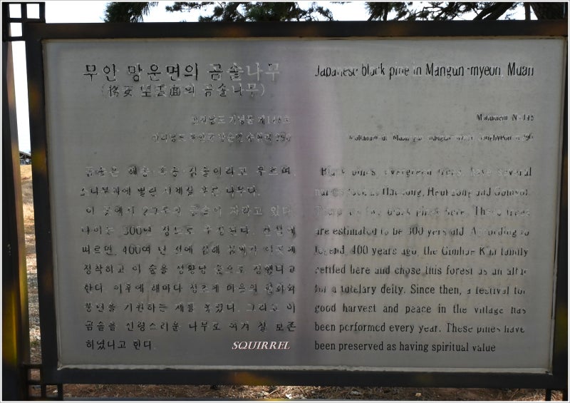 사진 2