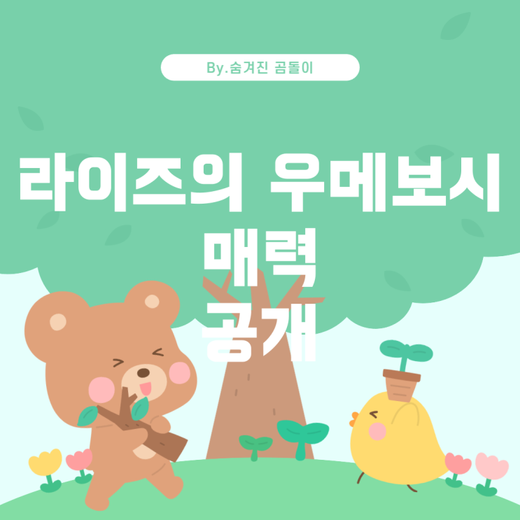  라이즈의 우메보시, 그 매력과 인기 제품들