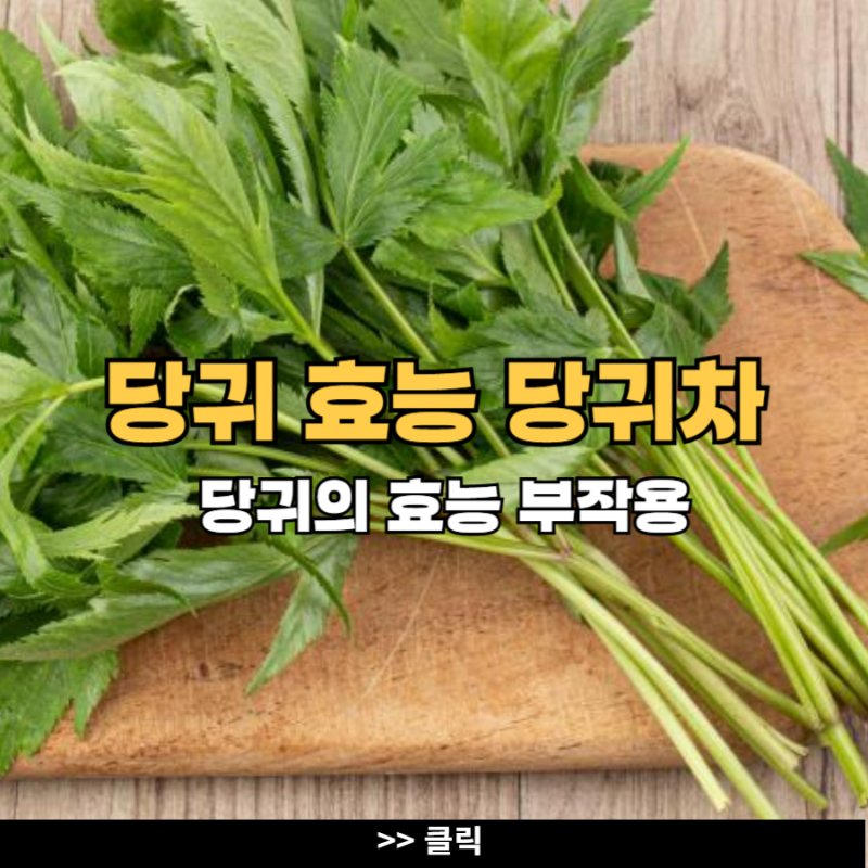 당귀 효능 당귀차 당귀의효능 부작용 : 네이버 블로그
