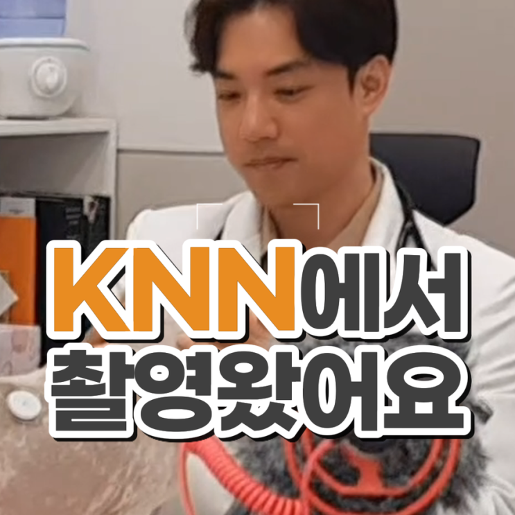  권도형 대표원장 KNN 굿모닝 투데이 출연 소식 닥터펫동물의료센터 부산24시동물병원