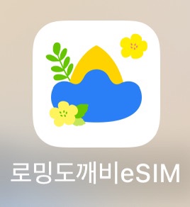  로밍도깨비 이심 필리핀 세부 여행 후기, 로깨비 데이터 무제한 이용 완벽 정리!