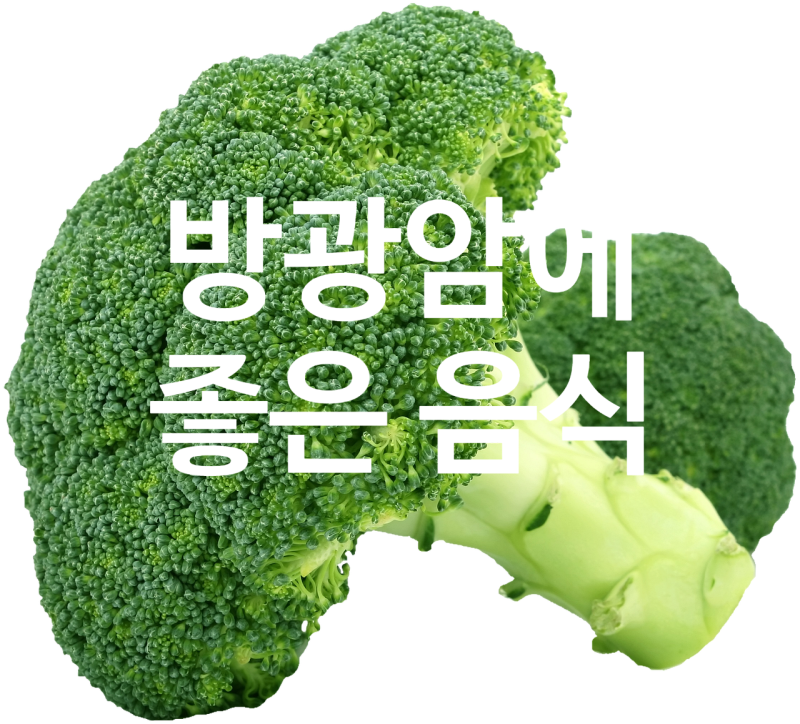방광암에 좋은 음식