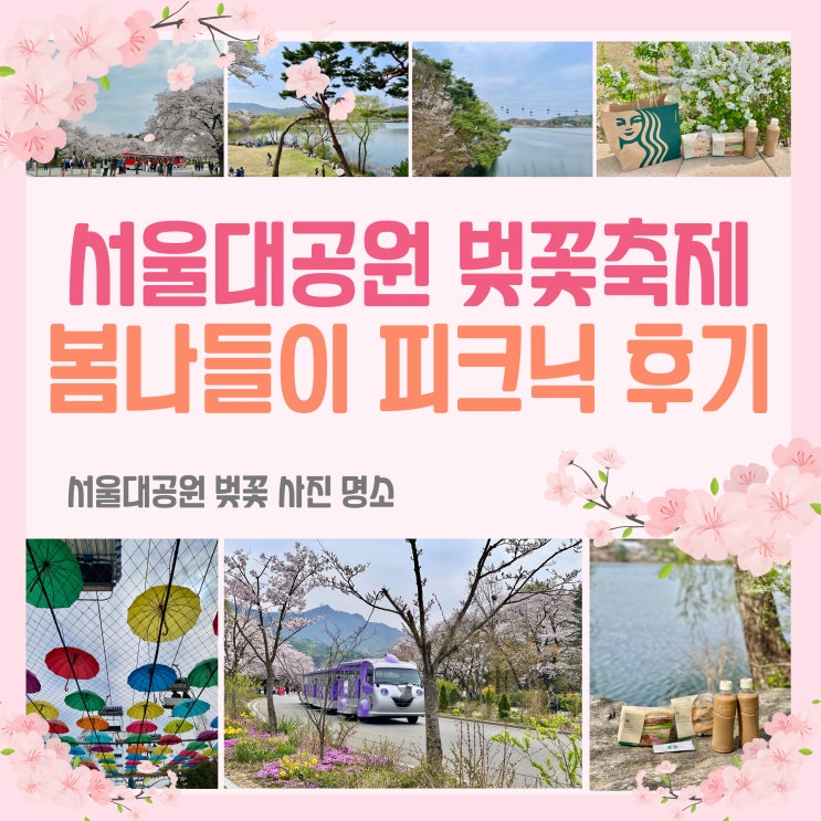 서울대공원 벚꽃축제 2025 서울 근교 벚꽃 명소 봄나들이 피크닉 후기