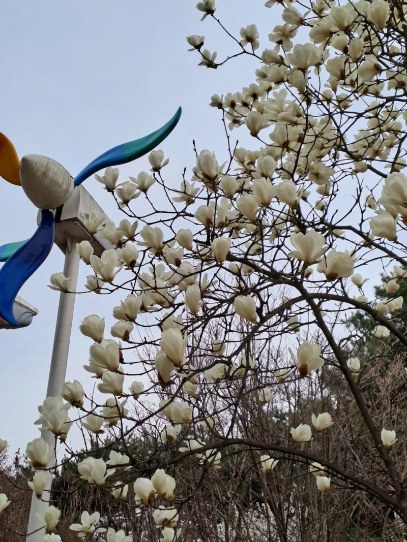 정책지식 2025.4.14. : 네이버 블로그