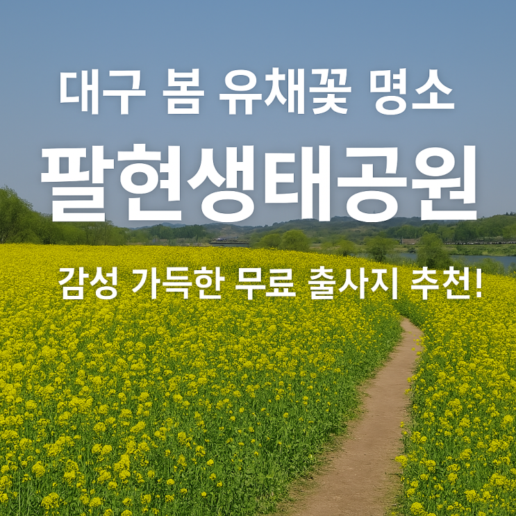  대구 봄 유채꽃 명소, 팔현생태공원 – 감성 가득한 무료 출사지 추천!