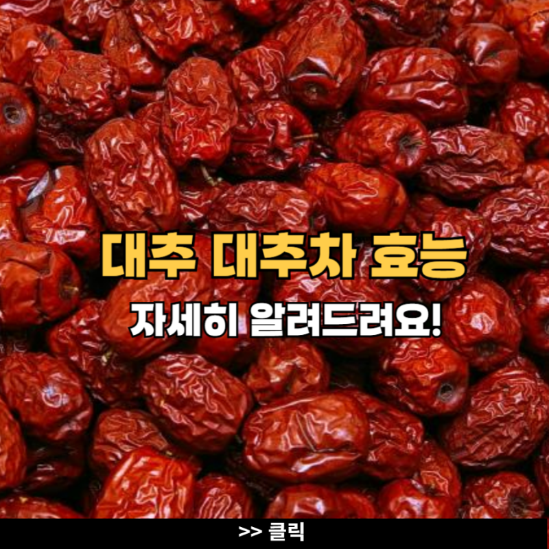 대추 효능 대추차 부작용 대추의효능 칼로리 : 네이버 블로그