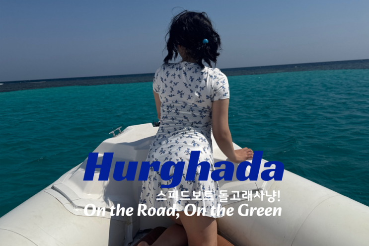  이집트 후르가다 여행 돌핀투어 솔직후기 (반나절투어)