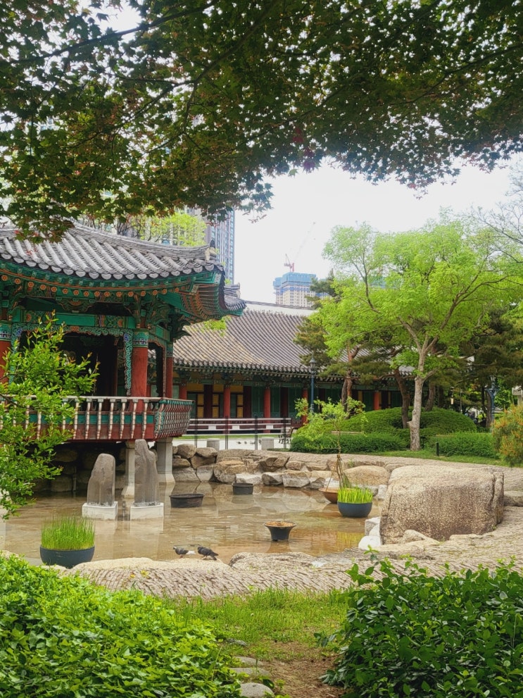  [경상감영공원] 산책하기 좋은 대구 동성로 공원