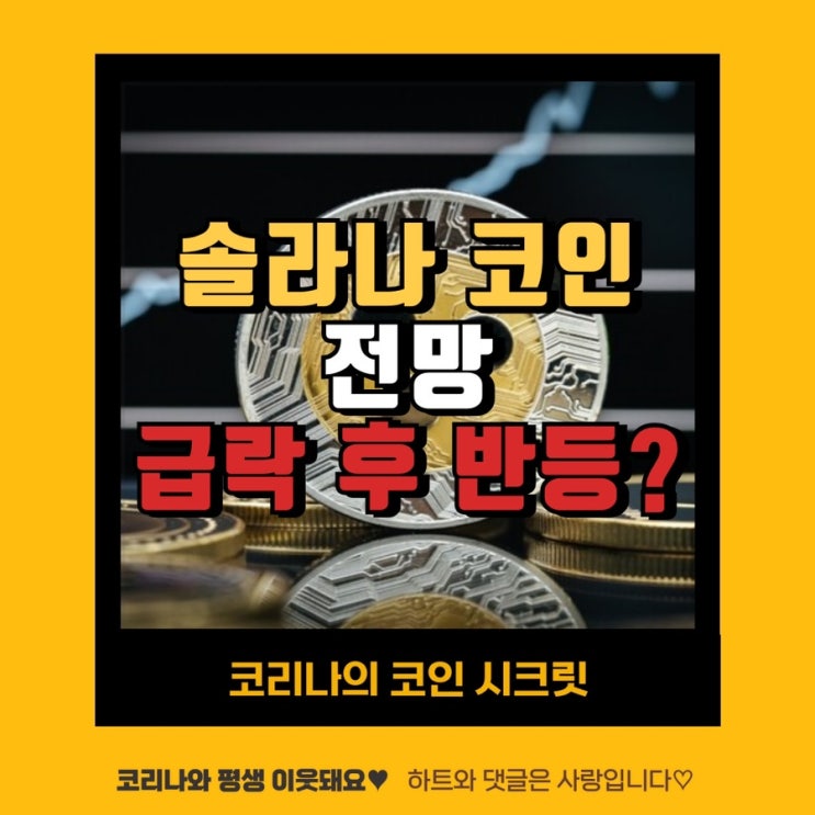 <b>솔라나 코인</b> 전망, 급락 후 <b>반등</b>?