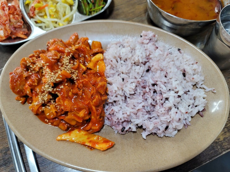  경기 성남 양지동 을지대학교 근처 혼밥 하기 좋은 가성비 갑 제육덮밥 맛집 전주해장국