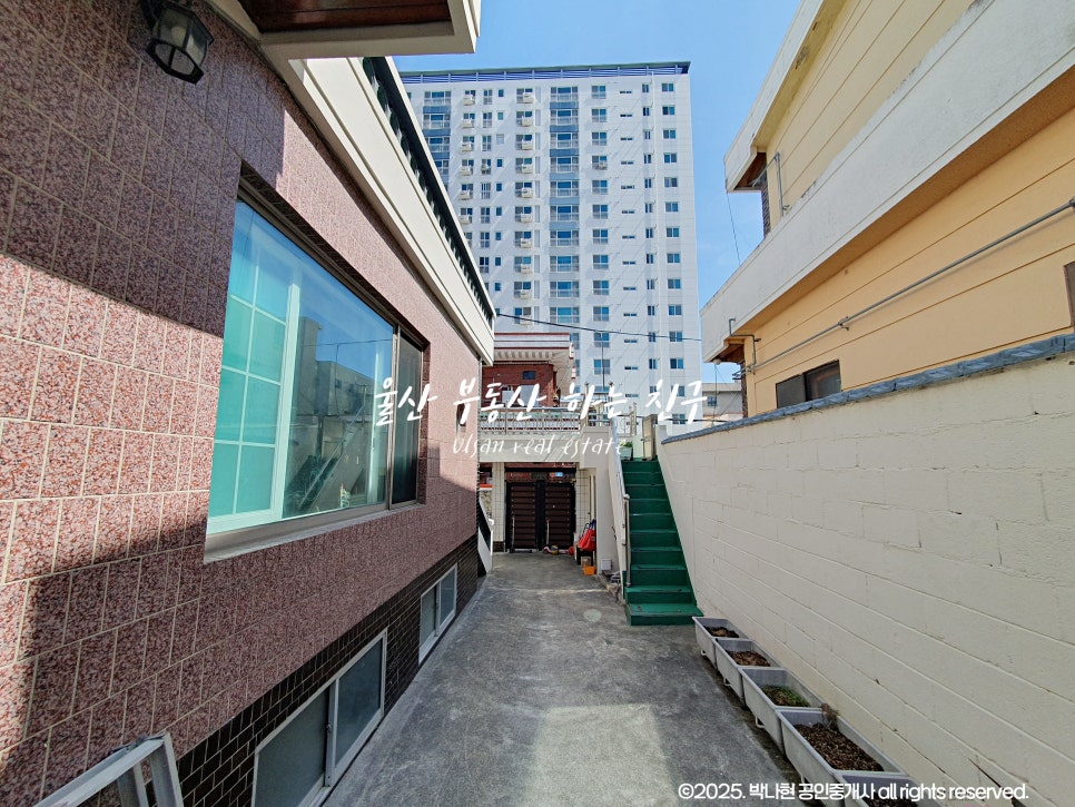 하삼동커피 울산복산도화점 사진 3