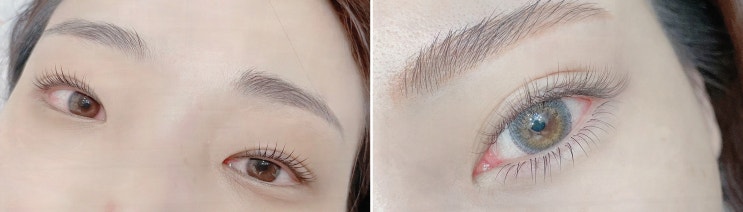  [뷰티리뷰] 블랙래쉬 천호점, 만족스러운 천호 속눈썹 펌 체험