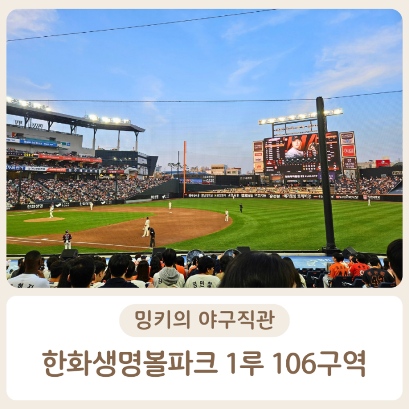 [대전] 대전한화생명볼파크 :: 1루 내야 106구역 카스존(응원단석) 14열 관람 후기 시야