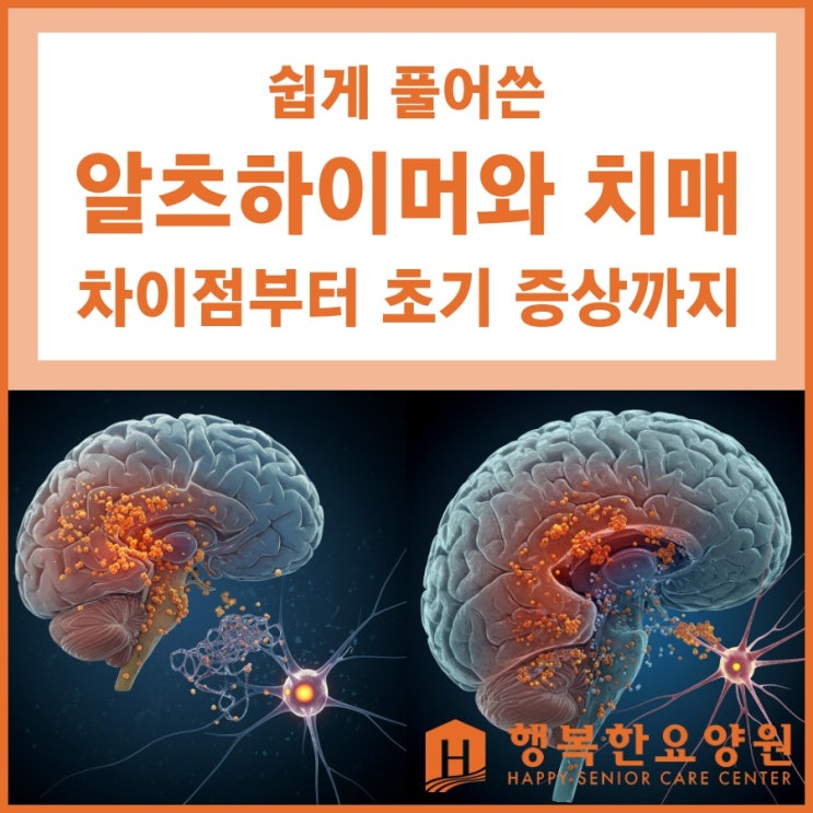  쉽게 풀어쓴 알츠하이머 치매 이야기 : 차이부터 초기 증상까지