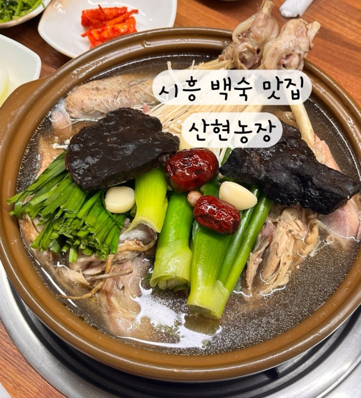  [경기도 시흥] 내돈내산 오리고기 백숙 삼계탕 몸보신 맛집 산현농장 예약 주차 꿀팁