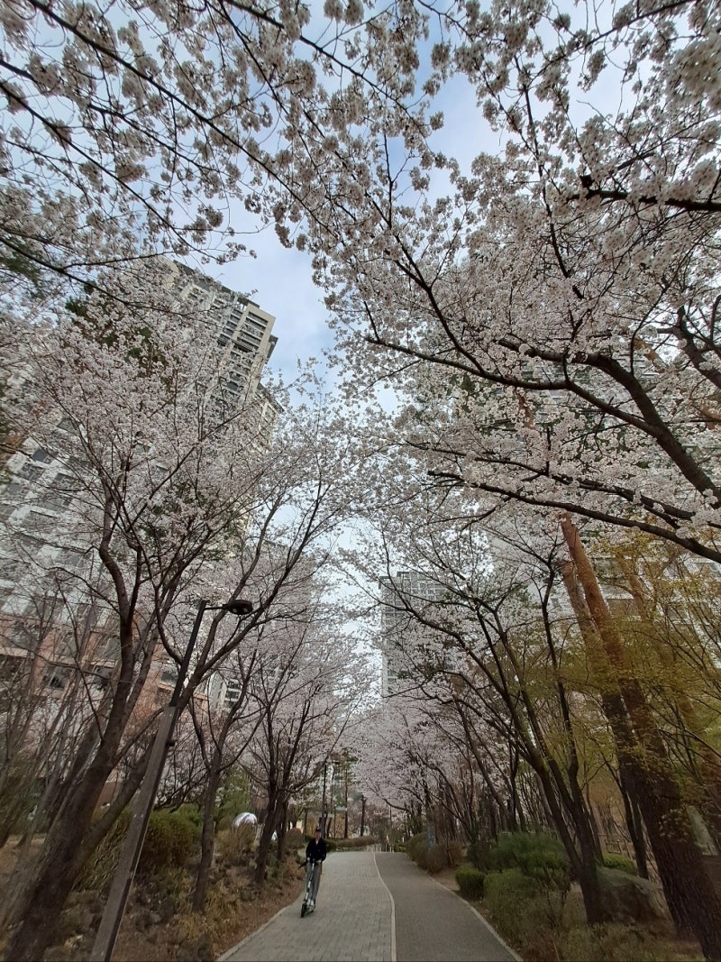 정책지식 2025.4.14. : 네이버 블로그