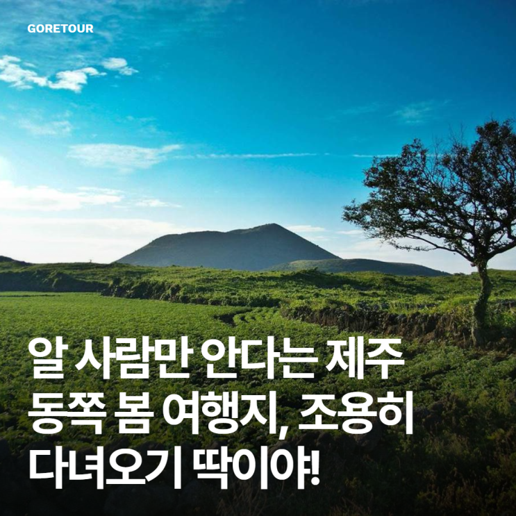  알 사람만 안다는 제주 동쪽 봄 여행지, 조용히 다녀오기 딱이야!