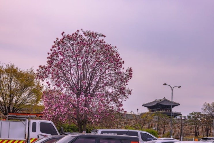  한림에서 마주한, 제주의 진짜 밥상                                     – 제주 한림 웅담 협재점 본점에서