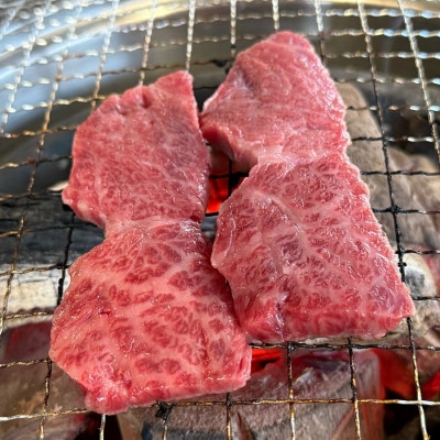 사진 2