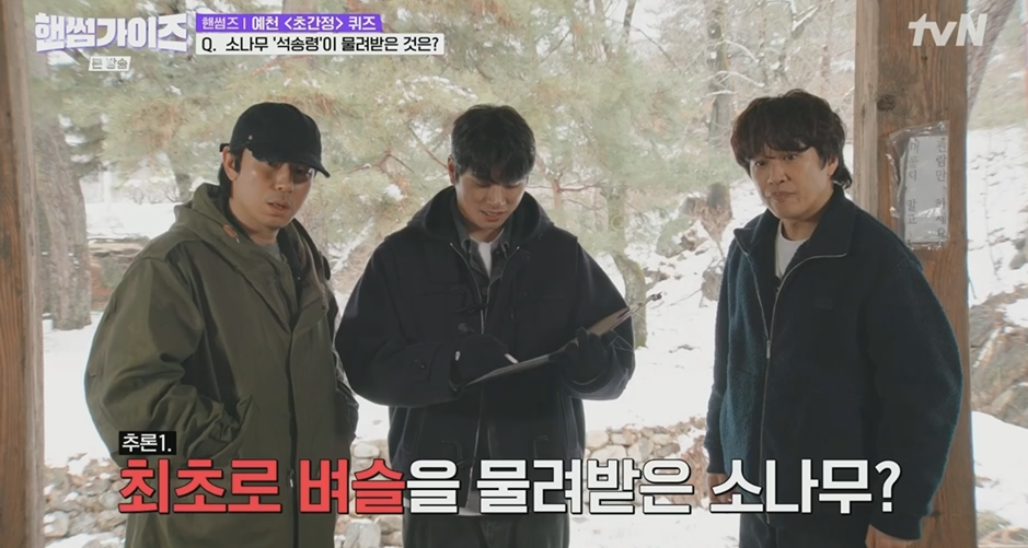 숲속이야기 사진 3