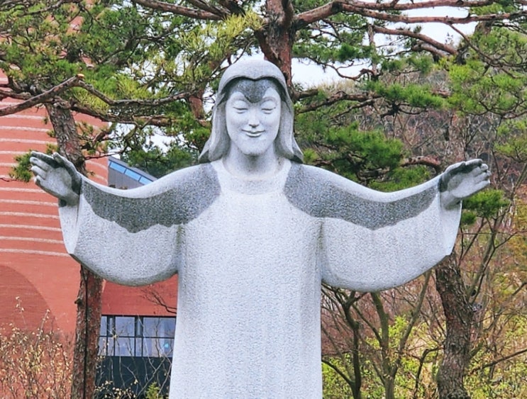 당일치기 남양 성모성지 마리오보타 대성당 꽃길 걷기