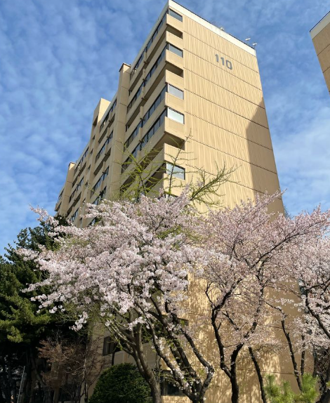  물량은 줄고 매수는 예민해진 시점 강남 목동 성동 주요 단지들 근황