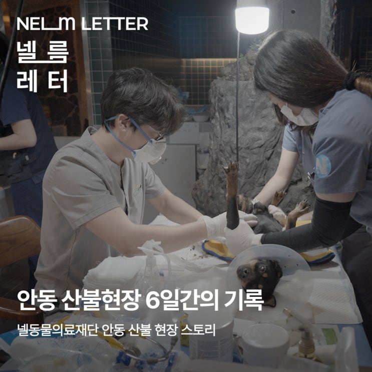  [NEL:생생] 안동 산불현장 6일간의 스토리