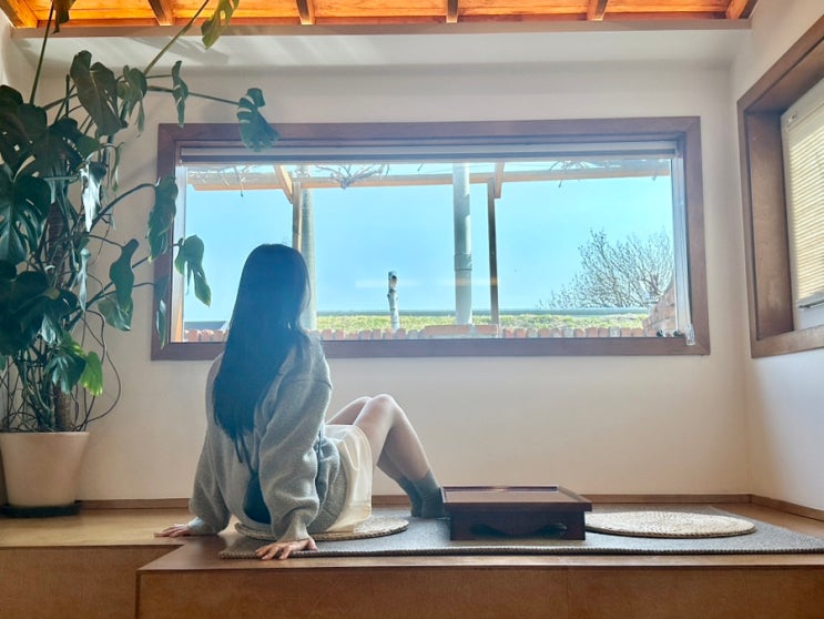  강릉 뚜벅이여행 추천 남대천 산책로 앞 감성독채숙소 포도봉봉